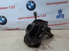 Ступица BMW X6 2008 33326879101 E71 M57D30, задняя левая