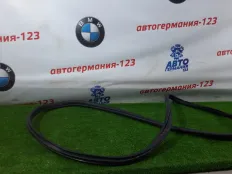 Уплотнитель двери MINI Countryman 2012 51339808654 R60 N16B16A, передний правый