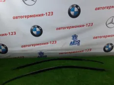 Молдинг двери BMW X5 2005 51328257683 E53 M54B30