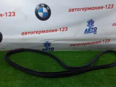 Уплотнитель двери MINI Countryman 2012 51339808654 R60 N16B16A, передний левый