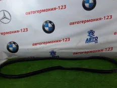 Уплотнитель двери Mercedes C220 2015 A20569700519G44 W205 651.921, передний левый