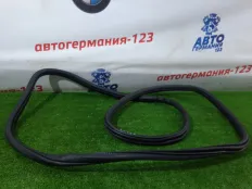 Уплотнитель двери BMW X3 2012 51727396556 F25 N20B20A, задний