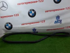 Уплотнитель двери Mercedes C220 2015 A20569701519G44 W205 651.921, задний левый