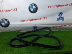 Уплотнитель двери BMW X3 2012 51727396556 F25 N20B20A, задний