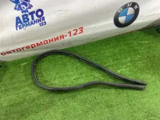 Уплотнитель капота Mercedes GL450 2006 A1648890098 X164 273.923