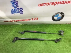 Амортизатор багажника BMW 218i 2014 51247300791 F45 B38A15A