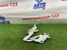 Петля капота BMW 116 2014 41617286343 F20 N13B16, левая