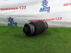 Пневмобаллон Mercedes GL450 2006 A1663200325 X164 273.923, задний