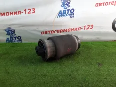 Пневмобаллон Mercedes GL450 2006 A1663200325 X164 273.923, задний