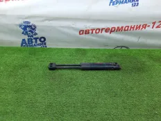 Амортизатор капота BMW 116 2014 51237239233 F20 N13B16