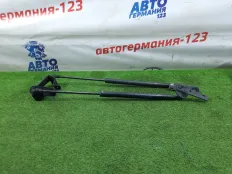 Амортизатор багажника BMW 116 2014 51247239871 F20 N13B16