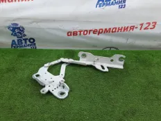 Петля капота BMW 116 2014 41617286343 F20 N13B16, левая