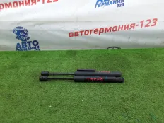 Амортизатор капота BMW 118i 2015 51237239233 F20 N13B16