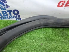 Уплотнение двери Mercedes E300 2009 A21269701519G44 W212 272.952, заднее левое