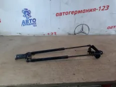 Амортизатор багажника BMW 116 2013 51247239871 F20 N13B16