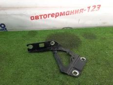 Петля капота Mercedes GL450 2006 A2518800428 X164 273.923, правая