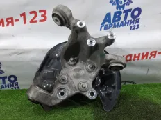 Ступица Mercedes A180 2018 A2463503641 W176 270.910, задняя правая