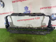 Решетка радиатора Mercedes G300 2020 A4638880300 W463