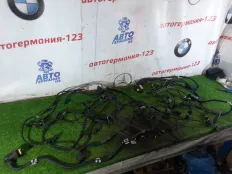 Проводка ДВС BMW 116i 2012 12518606447 F20 N13B16A