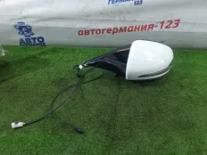 Зеркало заднего вида боковое Mercedes E220d 2017 A2138105301 W213 654.920, левое