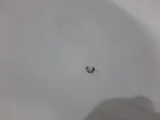 Крышка багажника Mercedes C200 2015 A2057500075 W205 274.920