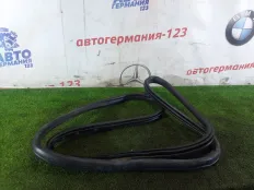 Уплотнитель двери BMW 320D 2019 51727497913 G20 B47D20B, задний