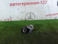 Натяжитель ремня генератора BMW X5 2012 11287800333 E70 N57D30A