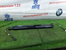 Амортизатор двери багажника BMW 320i 2013 51247298983 F34 N20B20B