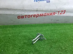 Петля замка двери BMW 320D 2019 51247498893 G20 B47D20B