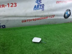 Заглушка бампера BMW 118d 2016 51117387170 F20 B47D20A, передняя