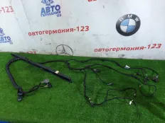 Проводка двери Mercedes V220 2016 A4474403605 W447 651.950, задняя левая