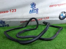Уплотнитель двери BMW 520d 2017 51727468731 G30 B47D20A, передний