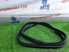 Уплотнитель двери BMW 320i 2013 51767385027 F34 N20B20B, задний