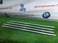 Молдинг двери Mercedes CLS350 2011 A2187200324 C218 276.952