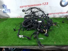 Проводка ДВС BMW 520d 2017 12518591635 G30 B47D20A