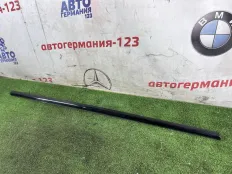 Молдинг двери BMW 320D 2019 51337465151 G20 B47D20B, задний правый