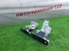 Петля двери Mercedes E200 2016 A2137301902 W213 274.920, задняя левая