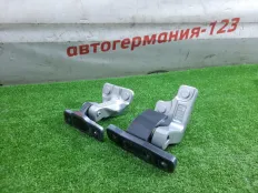 Петля двери Mercedes E200 2016 A2137302002 W213 274.920, задняя правая