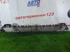 Решетка в бампер Mercedes C200 2017 A2058850423 S205 274.920, передняя