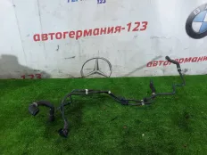 Трубка вакуумная Mercedes C200 2017 A2055016500 S205 274.920