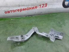 Петля капота Mercedes A180 2018 A1778801100 W177 282.914, левая