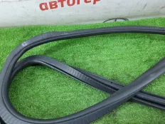 Уплотнитель двери BMW 523d 2017 51727468732 G30 B47D20A, задний
