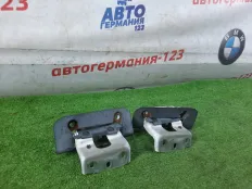 Петля двери багажника Mercedes V220 2016 A4477400037 W447 651.950