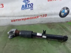 Амортизатор BMW 330e 2021 33526879361 G20 B48B20A, задний