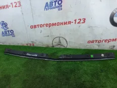 Молдинг решетки радиатора Mercedes V220 2016 A4478800082 W447 651.950
