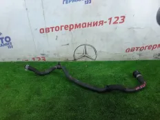 Патрубок BMW 330e 2021 64219398956 G20 B48B20A