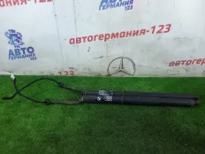 Амортизатор двери багажника BMW X5 2016 51247294469 F15 N57D30A