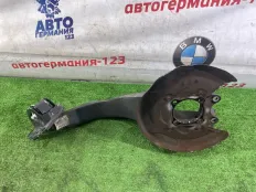 Цапфа BMW X1 2018 33308842879 F48 B47C20A, задняя левая