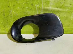 Накладка птф правая BMW X5 E53 51117111764