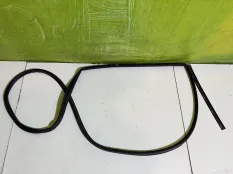 Уплотнитель двери задней левой Nissan Teana J31